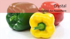 Presentation with capsicum - Amazing slides having red green and yellow pepper capsicum on a white background backdrop and a coral colored foreground