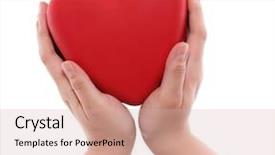  Presentation with human heart blue and red - Colorful slide set enhanced with red heart on hand isolated backdrop and a  colored foreground