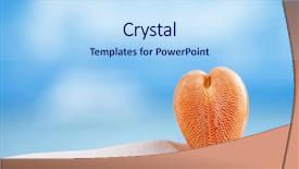  Presentation with sea shell - Audience pleasing slides consisting of red heart sea shell with ocean beach and seascape shallow dof backdrop and a light blue colored foreground