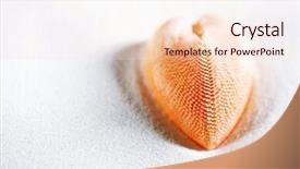  Presentation with sand heart - PPT theme enhanced with red heart sea shell in beach white sand shallow dof background and a lemonade colored foreground