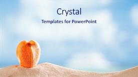  Presentation with sea shell - Theme consisting of red heart sea shell with ocean beach and seascape shallow dof background and a sky blue colored foreground