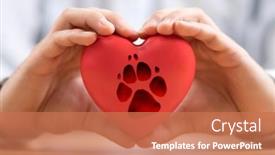  Presentation with hands heart - Amazing theme having red-heart-with-dog-paw backdrop and a coral colored foreground