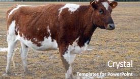  Presentation with drought - Beautiful theme featuring  backdrop and a  colored foreground
