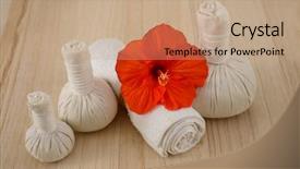  Presentation with hibiscus - Slides having red hibiscus with herbal ball background and a  colored foreground