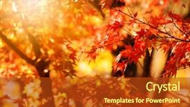 Presentation with fall foliage - Beautiful PPT layouts featuring red japanese maple leaves backdrop and a crimson colored foreground