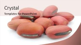  Presentation with kidney bean - Slides having red kidney bean close up background and a lemonade colored foreground
