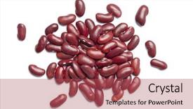 Presentation with kidney - PPT layouts consisting of red kidney beans on white background and a red colored foreground