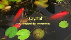  Presentation with koi fish - Audience pleasing PPT theme consisting of red koi fishes backdrop and a tawny brown colored foreground