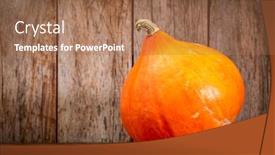  Presentation with wood rustic - Colorful theme enhanced with red kuri winter squash against rustic wood - fall holidays decoration backdrop and a coral colored foreground