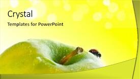  Presentation with green apple - Audience pleasing PPT theme consisting of red-ladybug-on-green-apple backdrop and a white colored foreground