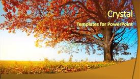  Presentation with autumn blue - Slides featuring large tree - big autumn oak with red background and a tawny brown colored foreground