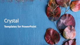  Presentation with music signs dark blue - Cool new PPT theme with red leaves on blue wood backdrop and a teal colored foreground