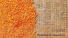  Presentation with lentils - 