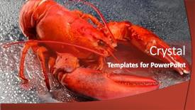  Presentation with red grey - Beautiful slide set featuring red lobster on grey background backdrop and a crimson colored foreground