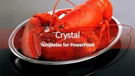  Presentation with red grey - Amazing PPT theme having red lobster on tray on grey background backdrop and a crimson colored foreground