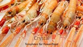  Presentation with market - PPT theme having red-lobsters-on-market-display background and a coral colored foreground