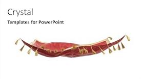  Presentation with red carpet - Presentation design featuring red-magic-flying-carpet-isolated background and a white colored foreground