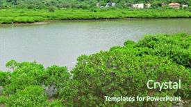  Presentation with hong kong - Colorful slides enhanced with red mangrove wood in hong backdrop and a tawny brown colored foreground