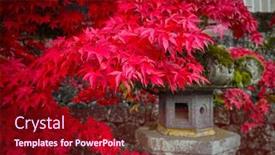  Presentation with maple leaves - Colorful slides enhanced with red-maple-leaves-at-buddist backdrop and a crimson colored foreground