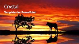  Presentation with wolf - Colorful PPT layouts enhanced with warewolf - lone wolf backdrop and a crimson colored foreground