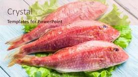  Presentation with wooden - Cool new slides with red-mullets-on-the-wooden backdrop and a coral colored foreground