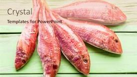  Presentation with wooden - Presentation theme with red-mullets-on-the-wooden background and a coral colored foreground
