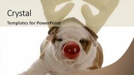  Presentation with girl in red dress - PPT layouts featuring red nose dressed as rudolph background and a soft green colored foreground