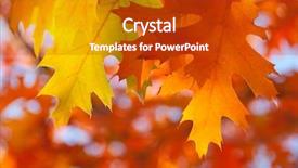  Presentation with oak - PPT theme with red oak leaves close-up background and a crimson colored foreground