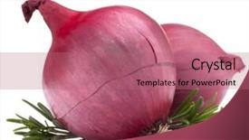  Presentation with red onion - Slides featuring red onion and rosemary leaves still life isolated on white background cutout background and a coral colored foreground