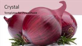  Presentation with red onion - Slide deck with red onion and rosemary leaves still life isolated on white background cutout background and a coral colored foreground