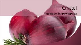  Presentation with red onion - PPT theme enhanced with red onion and rosemary leaves still life isolated on white background cutout background and a coral colored foreground