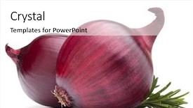  Presentation with red onion - Slides consisting of red onion and rosemary leaves isolated on white background cutout background and a white colored foreground