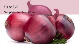  Presentation with red onion - Slides consisting of red onion and rosemary leaves isolated on white background cutout background and a coral colored foreground