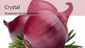  Presentation with red onion - Theme with red onion and rosemary leaves isolated on white background cutout background and a coral colored foreground