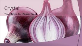  Presentation with red onion - Cool new PPT theme with red onion bulb and cross section of onion on white background backdrop and a coral colored foreground