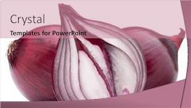 Presentation with red onion - Amazing presentation design having red onion bulb half isolated on white background cutout backdrop and a coral colored foreground