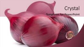  Presentation with red onion - Theme enhanced with red onion bulb isolated on white background cutout background and a coral colored foreground