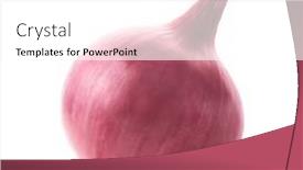  Presentation with red onion - 