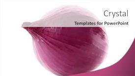  Presentation with red onion - 