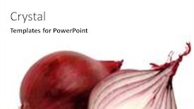  Presentation with red onion - Audience pleasing slides consisting of red-onion backdrop and a white colored foreground