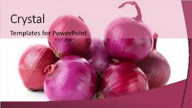  Presentation with red onion - Colorful PPT theme enhanced with red onions on white background backdrop and a coral colored foreground