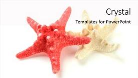  Presentation with orange starfish - PPT theme enhanced with spa salon traditional oriental background and a mint green colored foreground