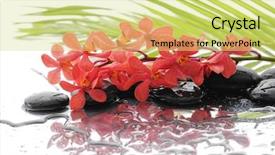  Presentation with orchid - Amazing PPT theme having red orchid with black stones backdrop and a yellow colored foreground