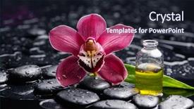  Presentation with orchid - Slide set consisting of red orchid with oil leaf background and a wine colored foreground