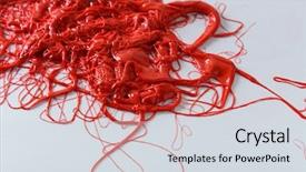  Presentation with organic - Cool new slides with intestines system - red organic forms backdrop and a  colored foreground