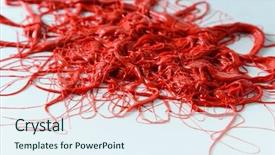  Presentation with organic - Colorful theme enhanced with intestines system - red organic forms backdrop and a sky blue colored foreground