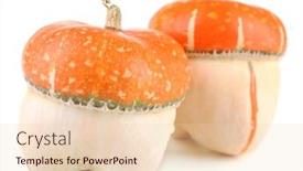  Presentation with red - Theme featuring red-ornamental-pumpkins-isolated background and a lemonade colored foreground