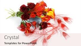  Presentation with peacock - Slide deck with red-peacock-feathers-carnival-red background and a lemonade colored foreground