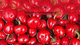  Presentation with pepper - 