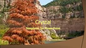  Presentation with pine - Audience pleasing theme consisting of red-pine-tree-in-glenwood backdrop and a tawny brown colored foreground